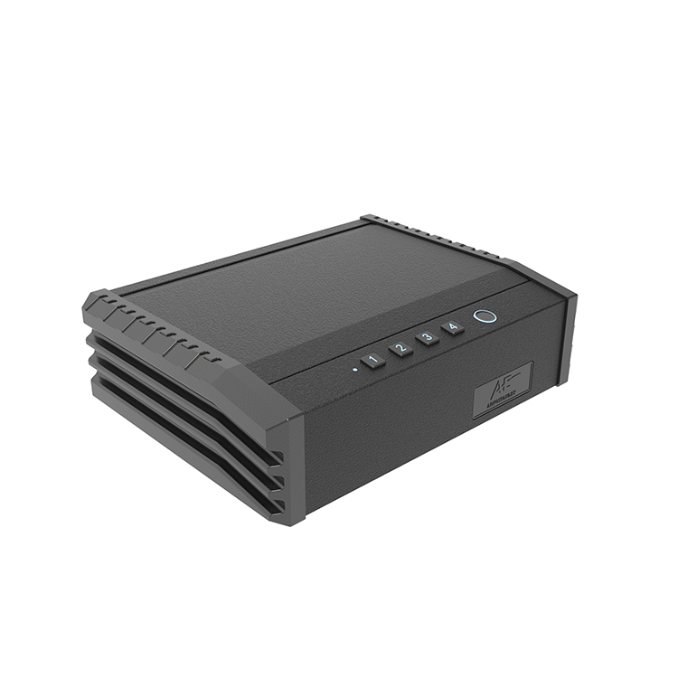 PS0110 Cassaforte biometrica per pistola Top-Entry a 2 pistole