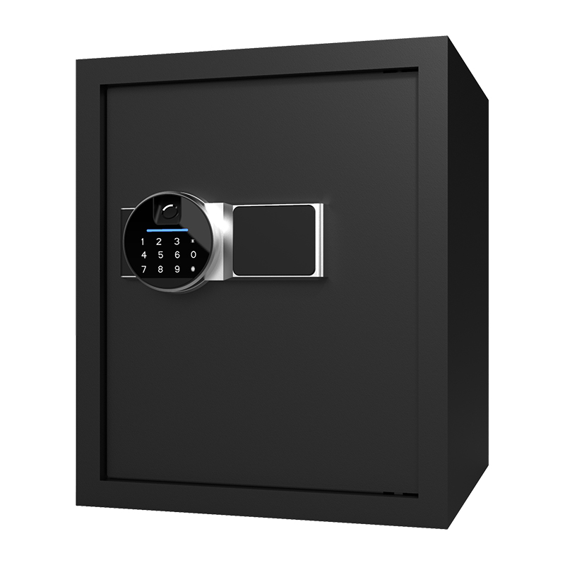BS0142 Cassaforte domestica biometrica da 40 litri