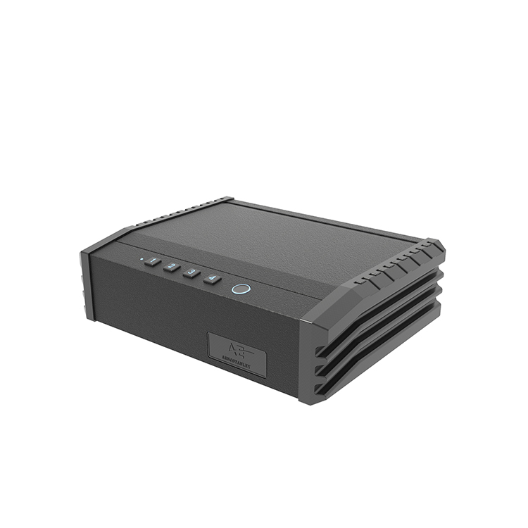 PS0110 Cassaforte biometrica per pistola Top-Entry a 2 pistole